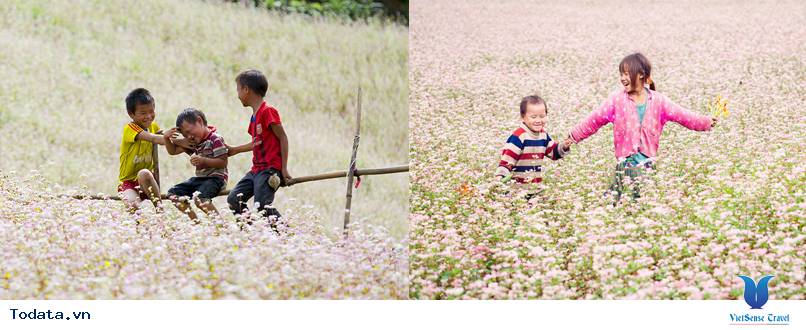 Tam Giác Mạch Hà Giang